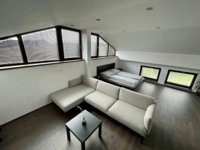 Apartment With a View, Králův Dvůr